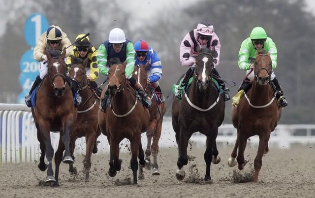 Alan Dudman is hoping for more all-weather success on Thursday